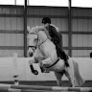 Meet your Posher, Chloe